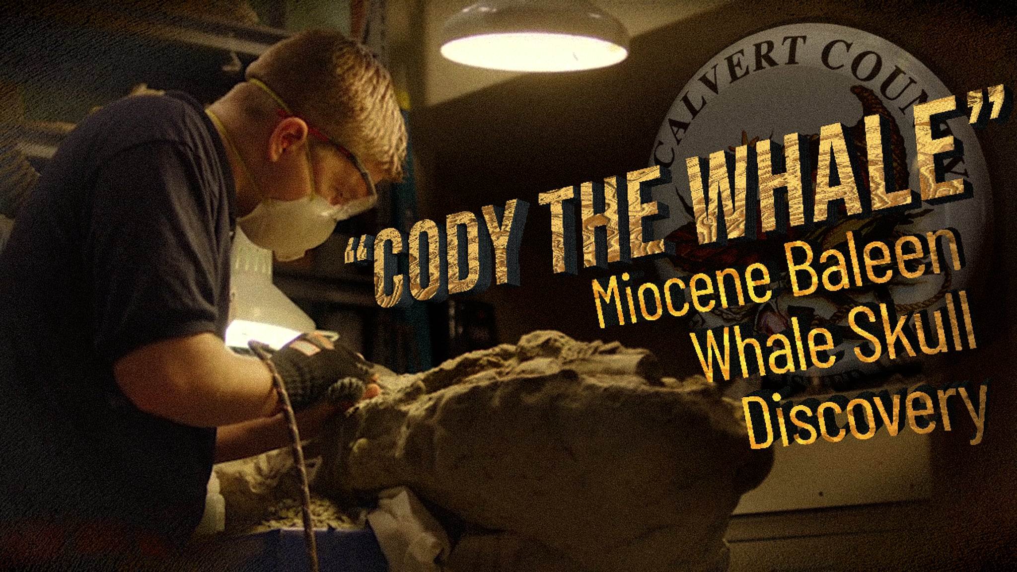 Thumbnail image for Historic Whale Skull Discovery Along Calvert Cliffs in Calvert County Maryland